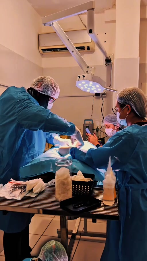 Equipe veterinária durante procedimento no centro cirúrgico.
