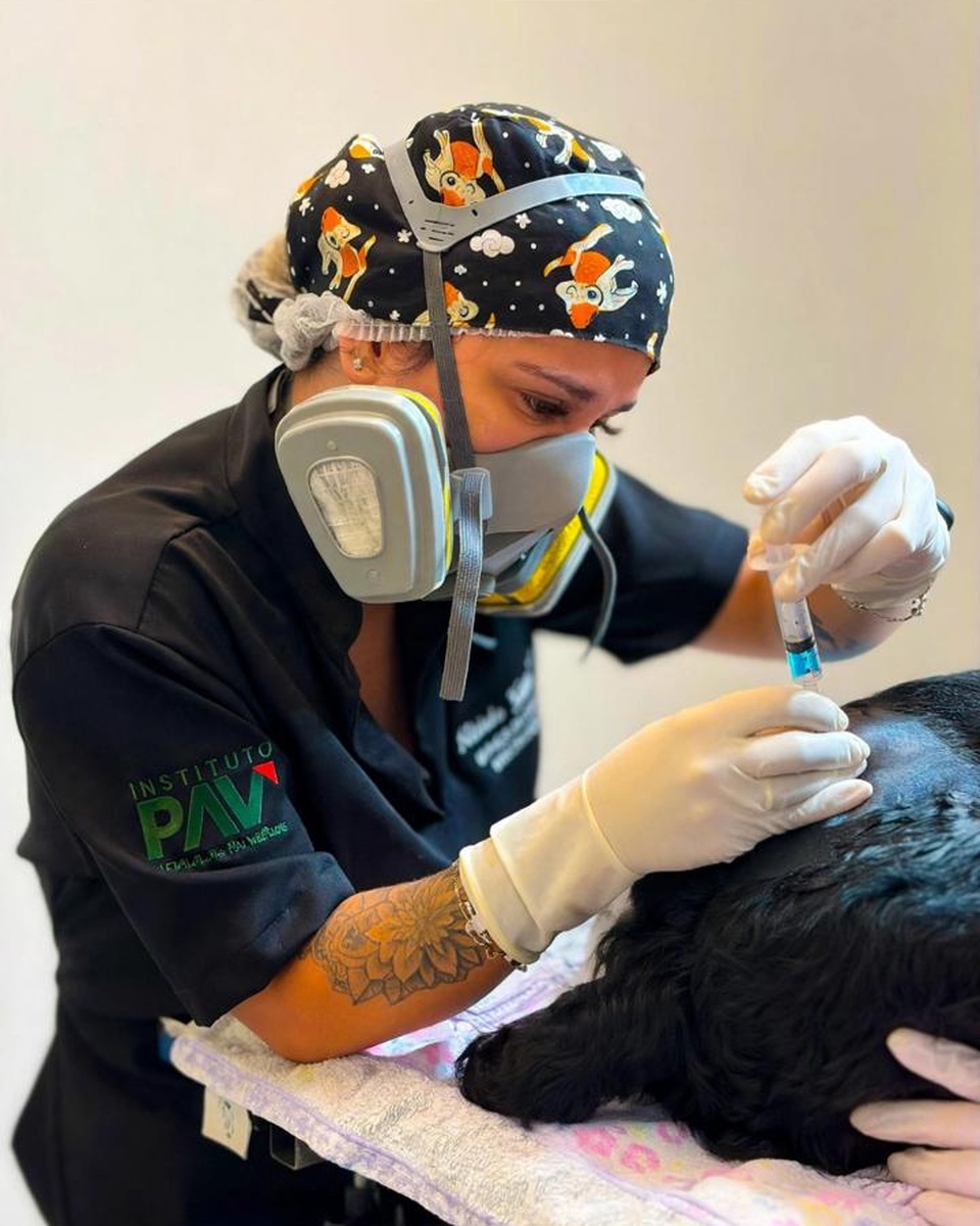 Dra. Flávia Guimarães em procedimento com paciente canino.